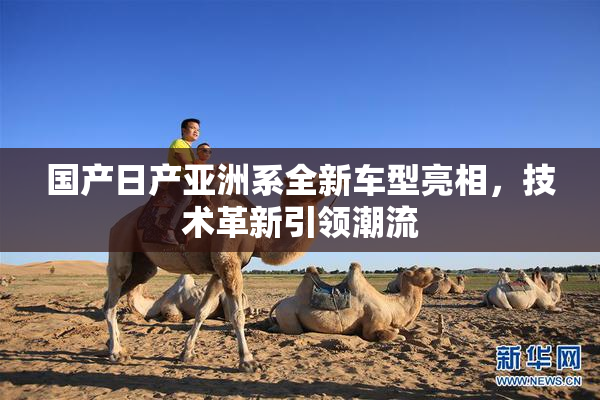 国产日产亚洲系全新车型亮相，技术革新引领潮流