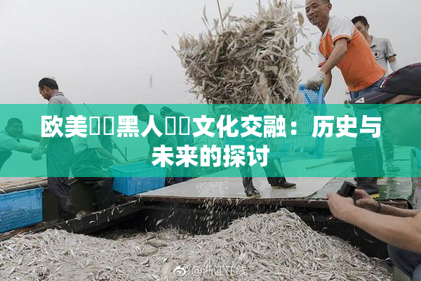 欧美❌‌黑人❌‌文化交融：历史与未来的探讨