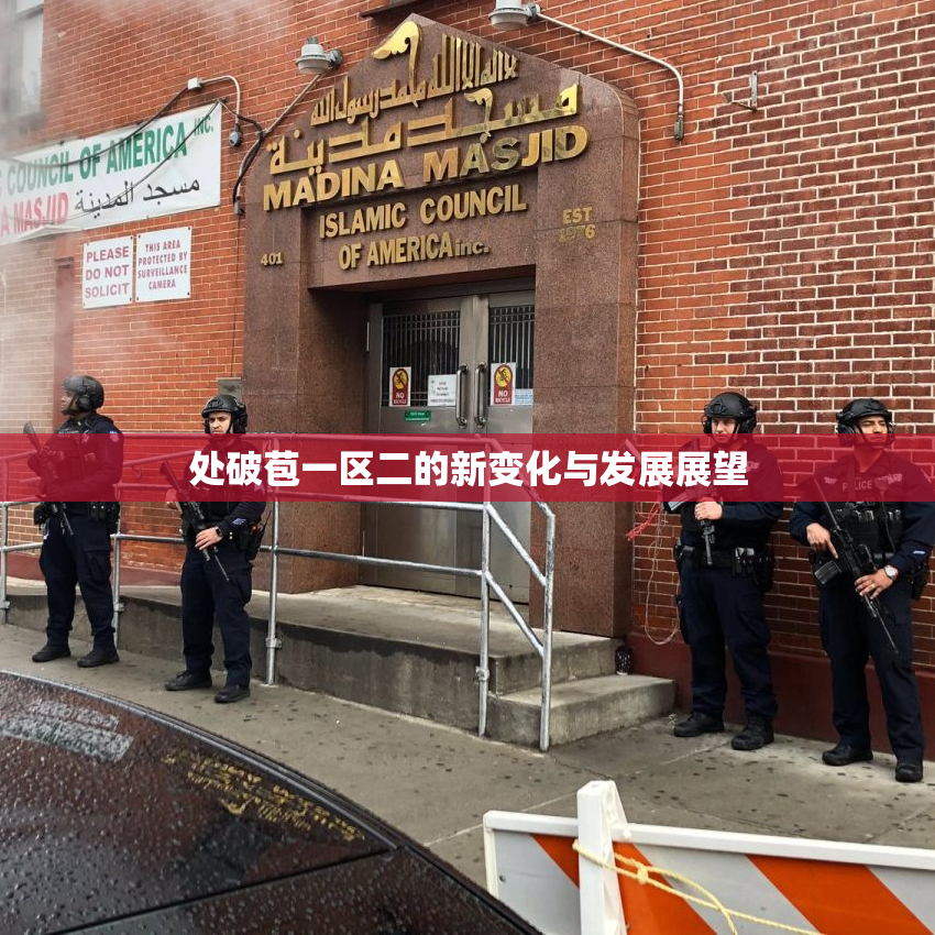 处破苞一区二的新变化与发展展望