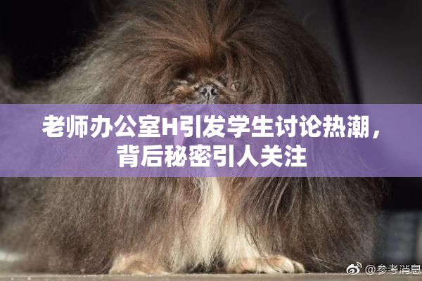 老师办公室H引发学生讨论热潮，背后秘密引人关注
