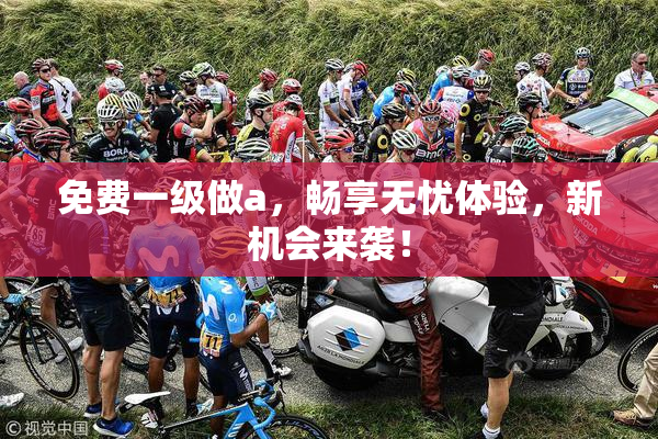 免费一级做a，畅享无忧体验，新机会来袭！