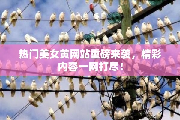 热门美女黄网站重磅来袭，精彩内容一网打尽！