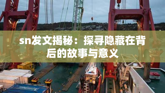 sn发文揭秘：探寻隐藏在背后的故事与意义