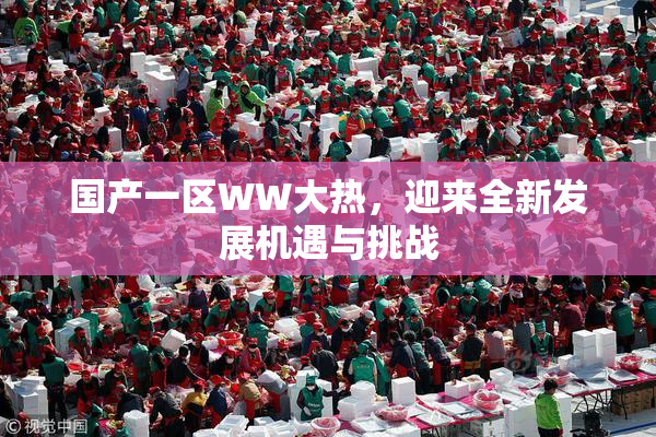 国产一区WW大热，迎来全新发展机遇与挑战