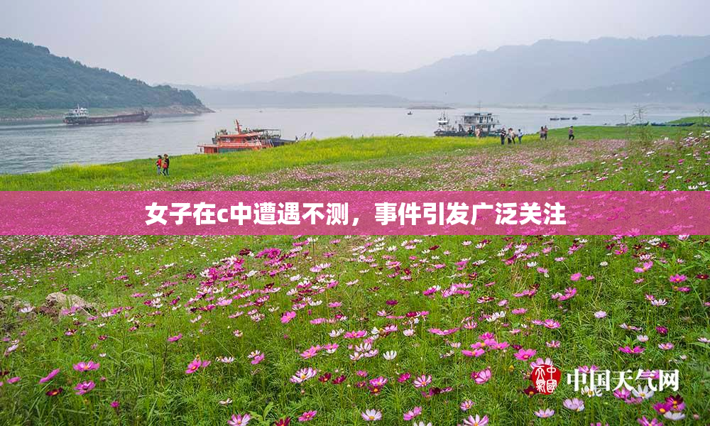 女子在c中遭遇不测，事件引发广泛关注