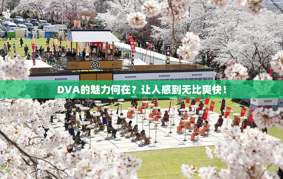 DVA的魅力何在？让人感到无比爽快！