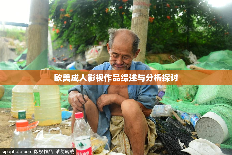 欧美成人影视作品综述与分析探讨