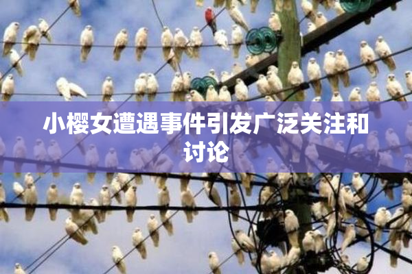 小樱女遭遇事件引发广泛关注和讨论