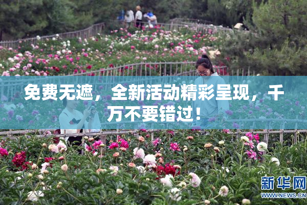 免费无遮，全新活动精彩呈现，千万不要错过！