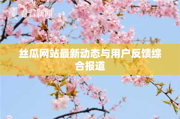 丝瓜网站最新动态与用户反馈综合报道