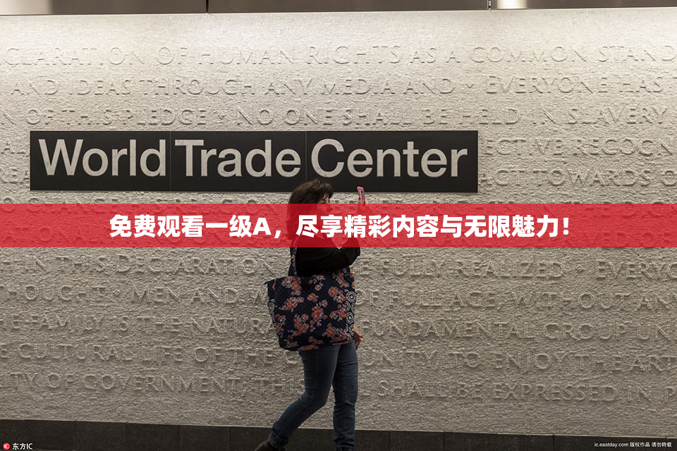 免费观看一级A，尽享精彩内容与无限魅力！