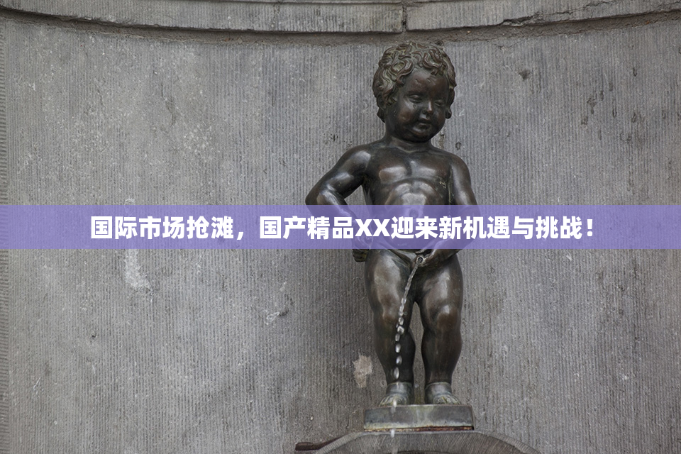 国际市场抢滩，国产精品XX迎来新机遇与挑战！