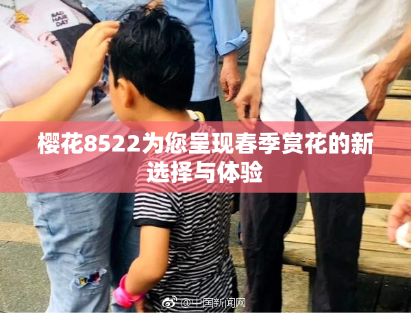樱花8522为您呈现春季赏花的新选择与体验