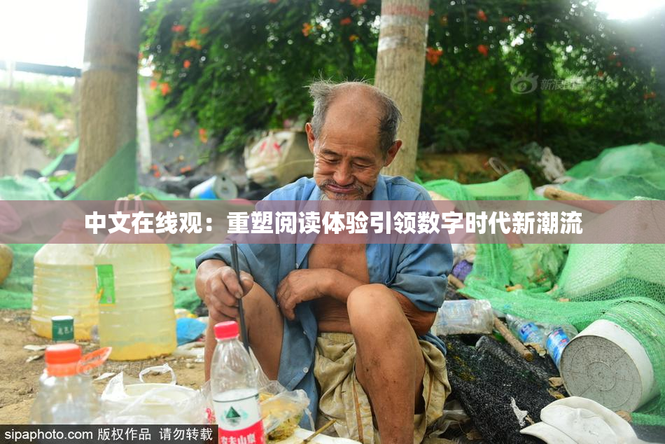 中文在线观：重塑阅读体验引领数字时代新潮流