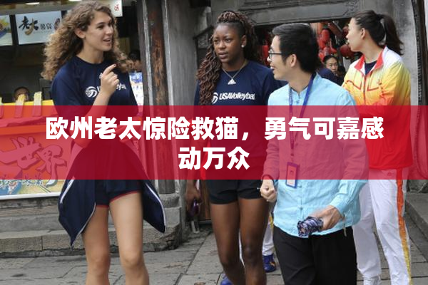 欧州老太惊险救猫，勇气可嘉感动万众