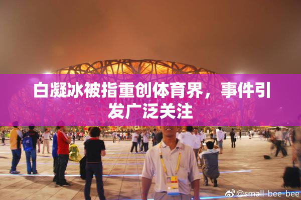 白凝冰被指重创体育界，事件引发广泛关注