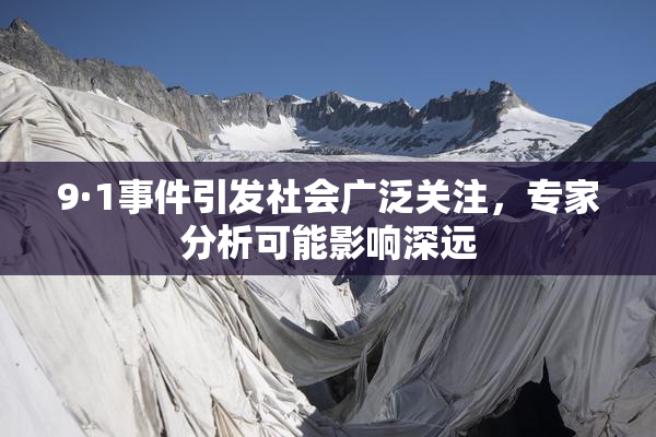 9·1事件引发社会广泛关注，专家分析可能影响深远