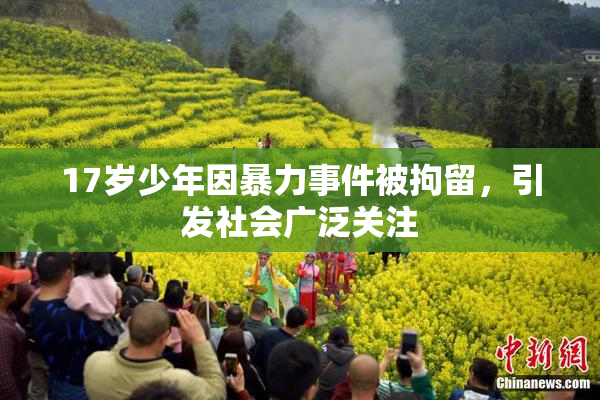 17岁少年因暴力事件被拘留，引发社会广泛关注