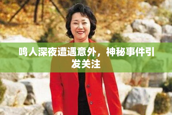 鸣人深夜遭遇意外，神秘事件引发关注