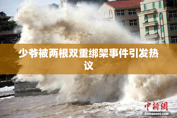 少爷被两根双重绑架事件引发热议