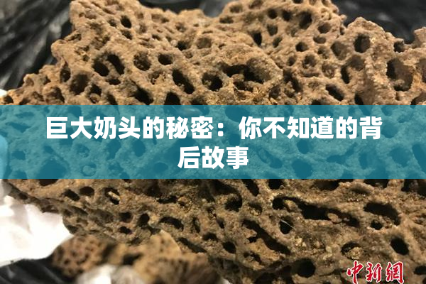 巨大奶头的秘密：你不知道的背后故事