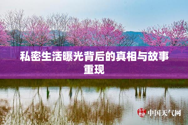 私密生活曝光背后的真相与故事重现