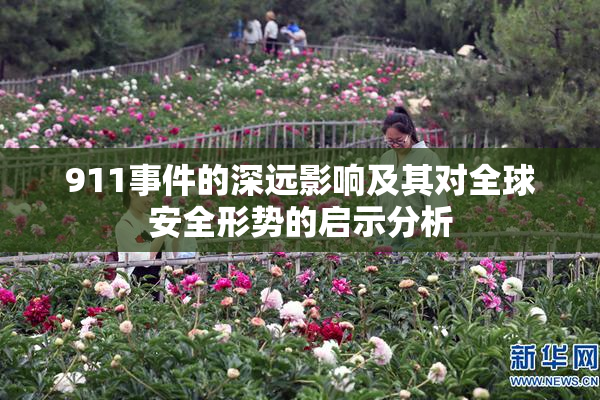 911事件的深远影响及其对全球安全形势的启示分析