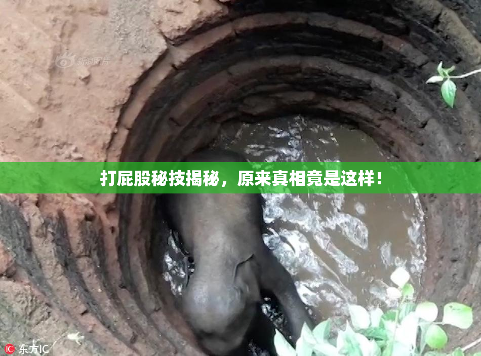 打屁股秘技揭秘，原来真相竟是这样！