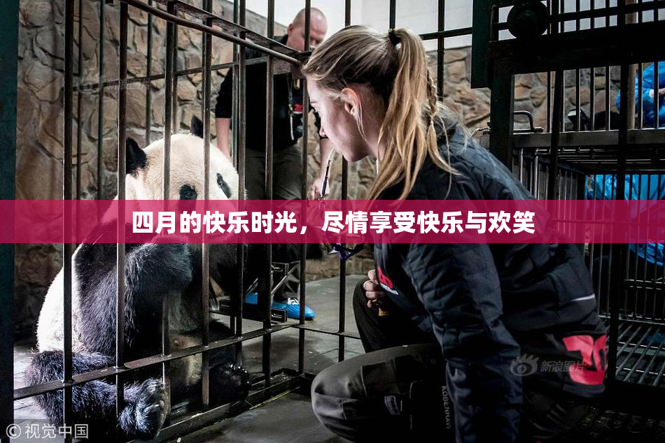 四月的快乐时光，尽情享受快乐与欢笑
