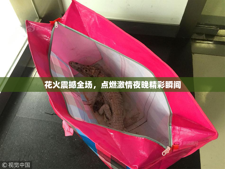 花火震撼全场，点燃激情夜晚精彩瞬间
