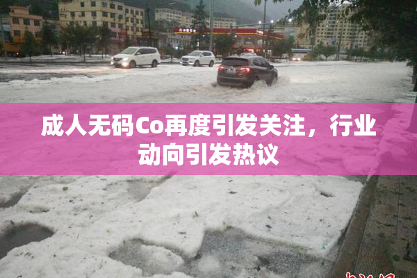 成人无码Co再度引发关注，行业动向引发热议