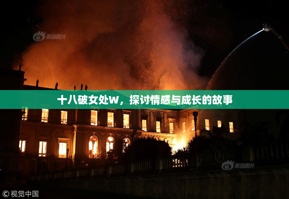 十八破女处W，探讨情感与成长的故事