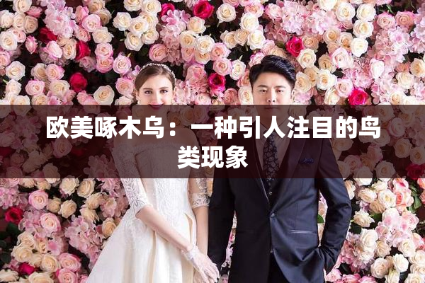 欧美啄木乌：一种引人注目的鸟类现象