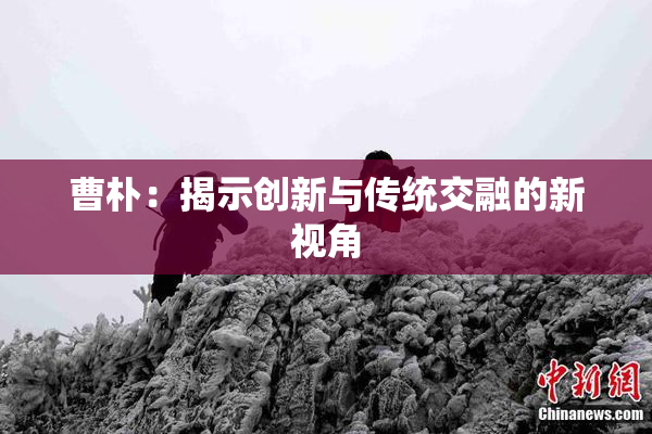 曹朴：揭示创新与传统交融的新视角