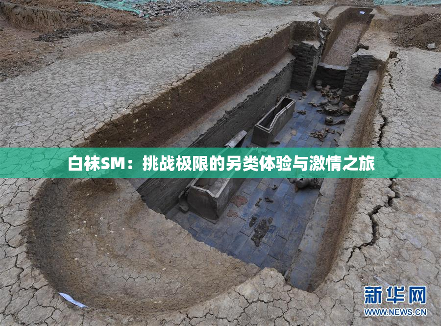 白袜SM：挑战极限的另类体验与激情之旅