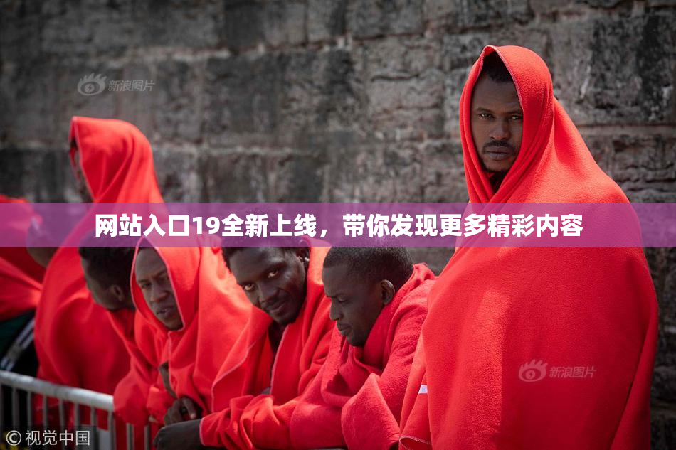 网站入口19全新上线，带你发现更多精彩内容