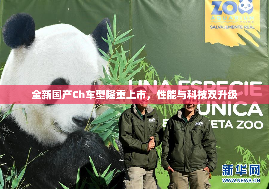 全新国产Ch车型隆重上市，性能与科技双升级