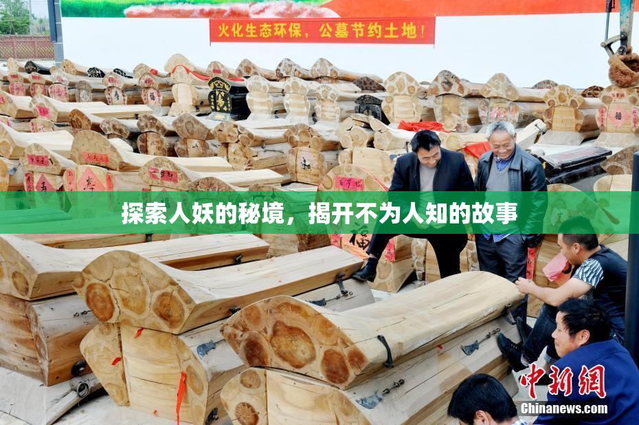 探索人妖的秘境，揭开不为人知的故事