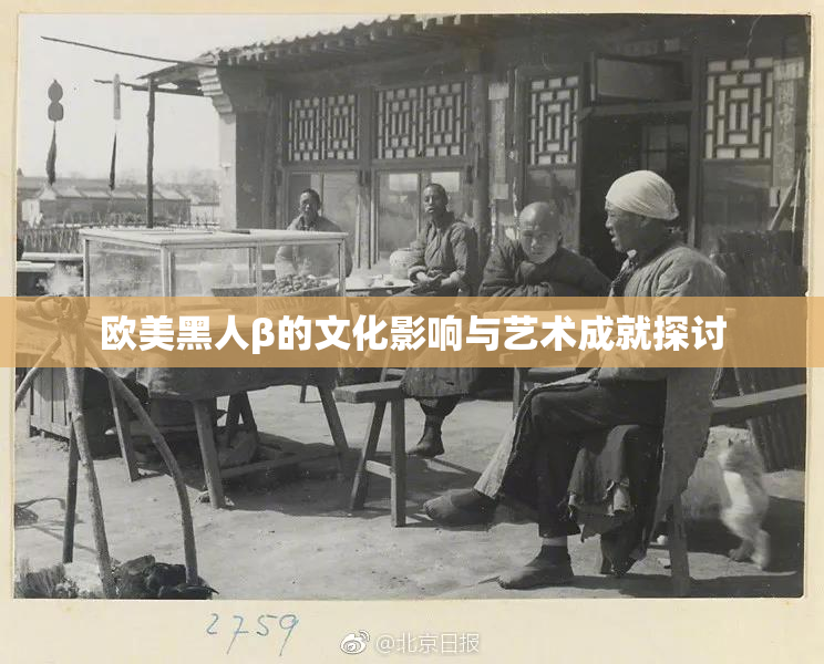 欧美黑人β的文化影响与艺术成就探讨