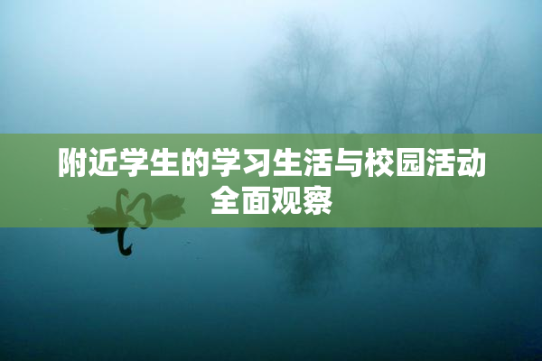 附近学生的学习生活与校园活动全面观察