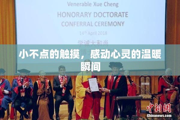 小不点的触摸，感动心灵的温暖瞬间