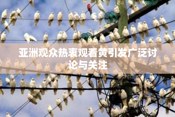 亚洲观众热衷观看黄引发广泛讨论与关注