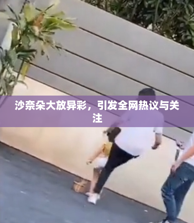 沙奈朵大放异彩，引发全网热议与关注