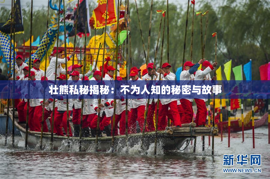 壮熊私秘揭秘：不为人知的秘密与故事