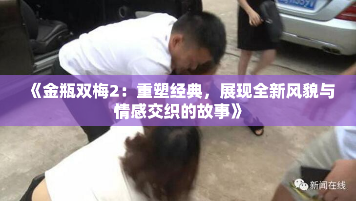 《金瓶双梅2：重塑经典，展现全新风貌与情感交织的故事》