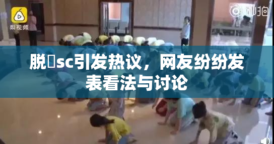 脱糞sc引发热议，网友纷纷发表看法与讨论