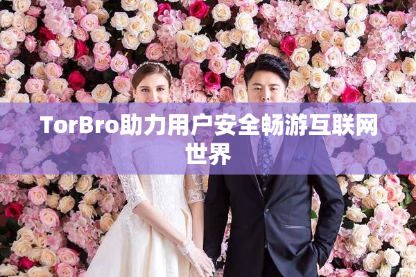 TorBro助力用户安全畅游互联网世界