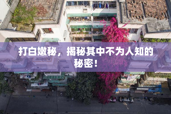 打白嫩秘，揭秘其中不为人知的秘密！
