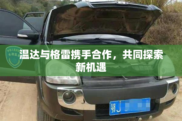 温达与格雷携手合作，共同探索新机遇