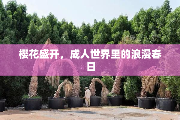 樱花盛开，成人世界里的浪漫春日